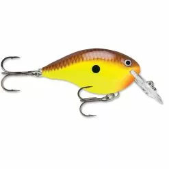 Promotion - Rapala DT Dives-To Crankbait -Deals Fishusa Store unnamed file 2765