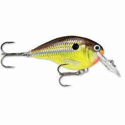 Promotion - Rapala DT Dives-To Crankbait -Deals Fishusa Store unnamed file 2766