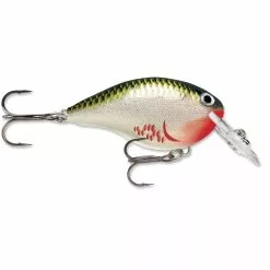 Promotion - Rapala DT Dives-To Crankbait -Deals Fishusa Store unnamed file 2767