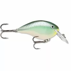 Promotion - Rapala DT Dives-To Crankbait -Deals Fishusa Store unnamed file 2769