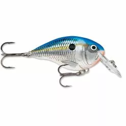 Promotion - Rapala DT Dives-To Crankbait -Deals Fishusa Store unnamed file 2770
