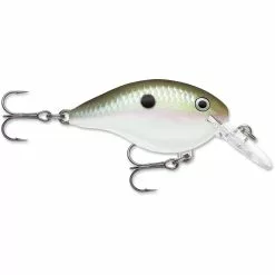 Promotion - Rapala DT Dives-To Crankbait -Deals Fishusa Store unnamed file 2773