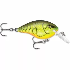 Promotion - Rapala DT Dives-To Crankbait -Deals Fishusa Store unnamed file 2774