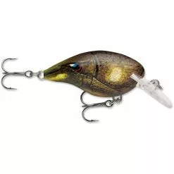 Promotion - Rapala DT Dives-To Crankbait -Deals Fishusa Store unnamed file 2777