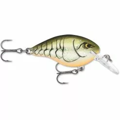 Promotion - Rapala DT Dives-To Crankbait -Deals Fishusa Store unnamed file 2780