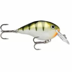 Promotion - Rapala DT Dives-To Crankbait -Deals Fishusa Store unnamed file 2781
