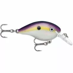 Promotion - Rapala DT Dives-To Crankbait -Deals Fishusa Store unnamed file 2785