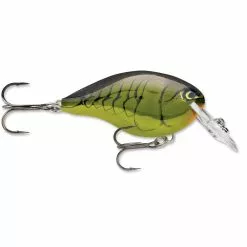 Promotion - Rapala DT Dives-To Crankbait -Deals Fishusa Store unnamed file 2786