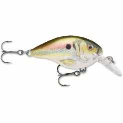 Promotion - Rapala DT Dives-To Crankbait -Deals Fishusa Store unnamed file 2792