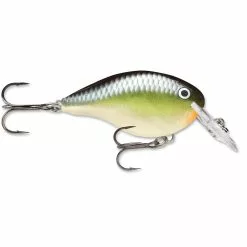 Promotion - Rapala DT Dives-To Crankbait -Deals Fishusa Store unnamed file 2793