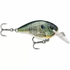 Promotion - Rapala DT Dives-To Crankbait -Deals Fishusa Store unnamed file 2794