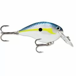 Promotion - Rapala DT Dives-To Crankbait -Deals Fishusa Store unnamed file 2796