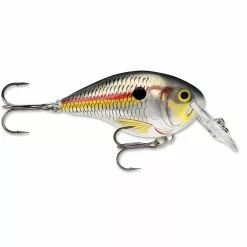 Promotion - Rapala DT Dives-To Crankbait -Deals Fishusa Store unnamed file 2797