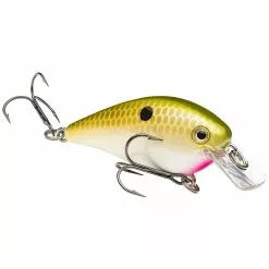 Promotion - Strike King KVD Square Bill Crankbait -Deals Fishusa Store unnamed file 2817