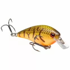 Promotion - Strike King KVD Square Bill Crankbait -Deals Fishusa Store unnamed file 2837