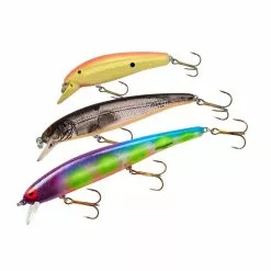 Promotion - Bomber Long A Lure -Deals Fishusa Store unnamed file 3088