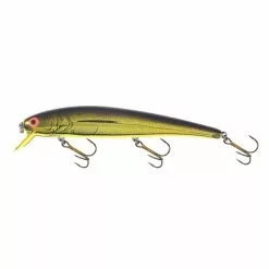 Promotion - Bomber Long A Lure -Deals Fishusa Store unnamed file 3098