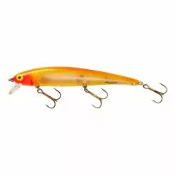 Promotion - Bomber Long A Lure -Deals Fishusa Store unnamed file 3099