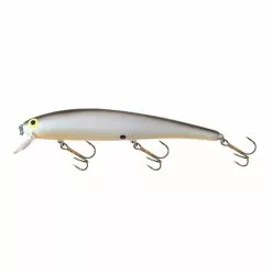 Promotion - Bomber Long A Lure -Deals Fishusa Store unnamed file 3109