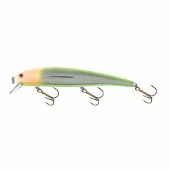 Promotion - Bomber Long A Lure -Deals Fishusa Store unnamed file 3114
