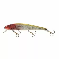 Promotion - Bomber Long A Lure -Deals Fishusa Store unnamed file 3121
