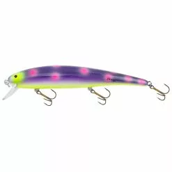 Promotion - Bomber Long A Lure -Deals Fishusa Store unnamed file 3122