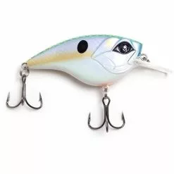 Promotion - Googan Squad Flat Banger Crankbait -Deals Fishusa Store unnamed file 3237