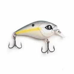 Promotion - Googan Squad Mini Banger Crankbait -Deals Fishusa Store unnamed file 3271