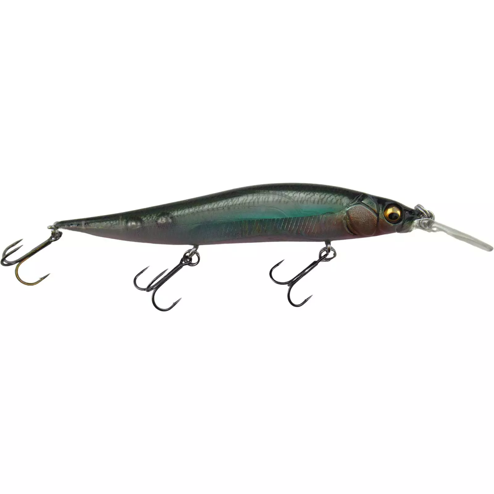 Promotion - Megabass Vision Oneten Plus 1 Jr 14 Promotion - Megabass Vision Oneten Plus 1 Jr - Image 14