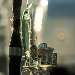 Promotion - Yo-Zuri 3D Inshore Fingerling Bait -Deals Fishusa Store unnamed file 3484