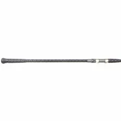 Promotion - Lamiglas Carbon Surf Spinning Rod