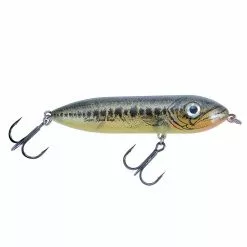 Promotion - Heddon Super Spook Boyo Topwater Bait -Deals Fishusa Store unnamed file 3534