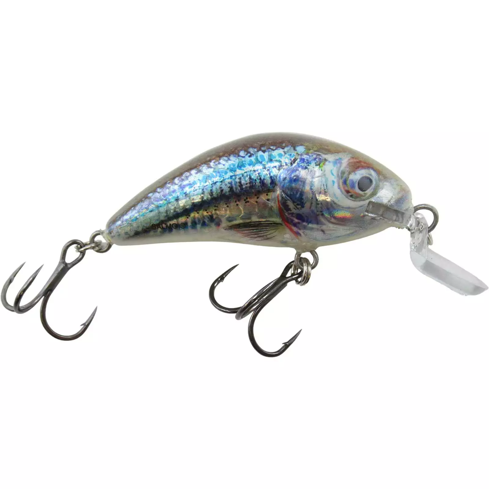 Promotion - Salmo Rattlin' Hornet Shallow Runner Crankbait 1 Promotion - Salmo Rattlin' Hornet Shallow Runner Crankbait