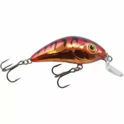 Promotion - Salmo Rattlin' Hornet Shallow Runner Crankbait 11 Promotion - Salmo Rattlin' Hornet Shallow Runner Crankbait -Deals Fishusa Store unnamed file 3675