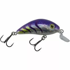Promotion - Salmo Rattlin' Hornet Shallow Runner Crankbait 15 Promotion - Salmo Rattlin' Hornet Shallow Runner Crankbait -Deals Fishusa Store unnamed file 3679
