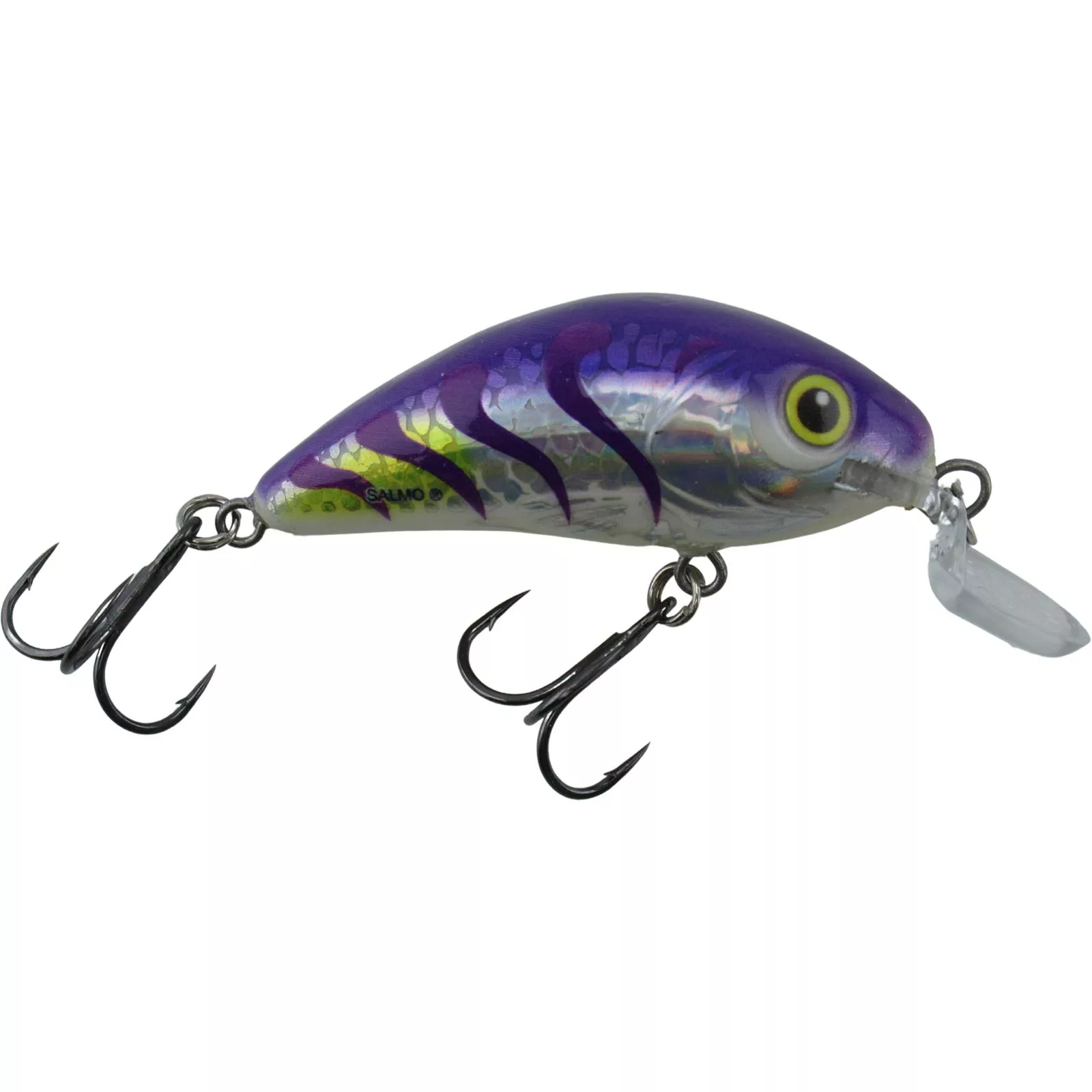 Promotion - Salmo Rattlin' Hornet Shallow Runner Crankbait 6 Promotion - Salmo Rattlin' Hornet Shallow Runner Crankbait - Image 6