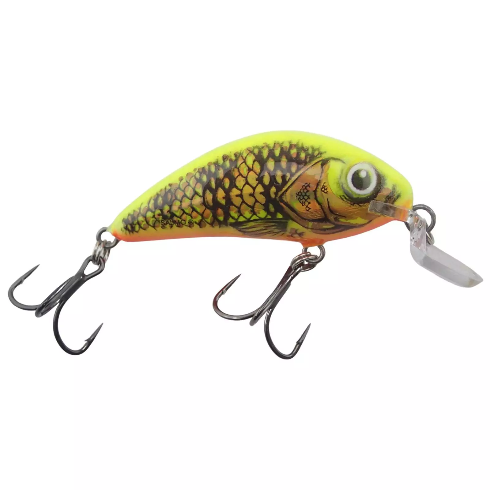 Promotion - Salmo Rattlin' Hornet Shallow Runner Crankbait 8 Promotion - Salmo Rattlin' Hornet Shallow Runner Crankbait - Image 8