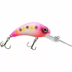Promotion - Walleye Nation Creations Boogie Shad Crankbait 19 Promotion - Walleye Nation Creations Boogie Shad Crankbait -Deals Fishusa Store unnamed file 3798