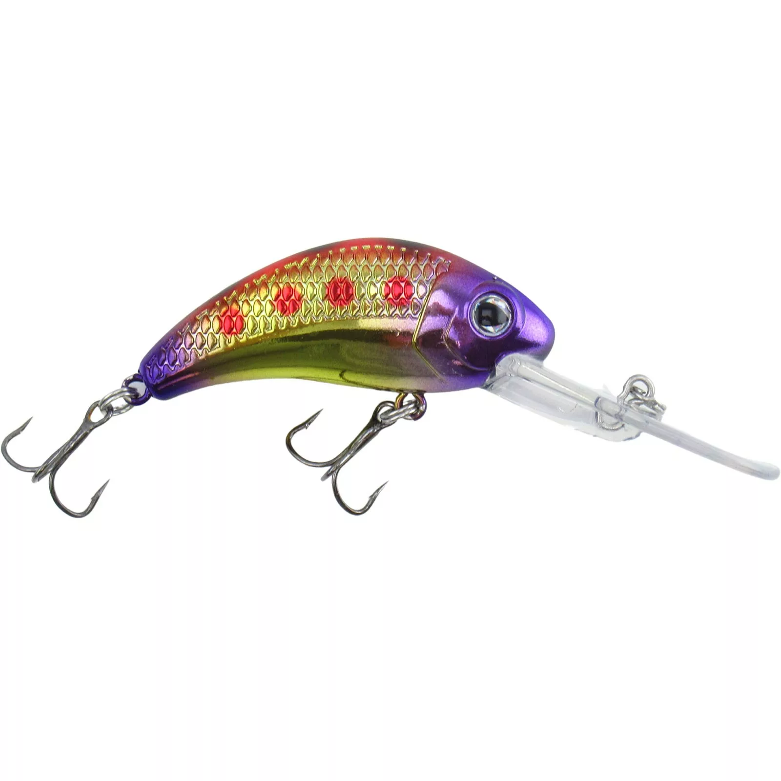 Promotion - Walleye Nation Creations Boogie Shad Crankbait 8 Promotion - Walleye Nation Creations Boogie Shad Crankbait - Image 8