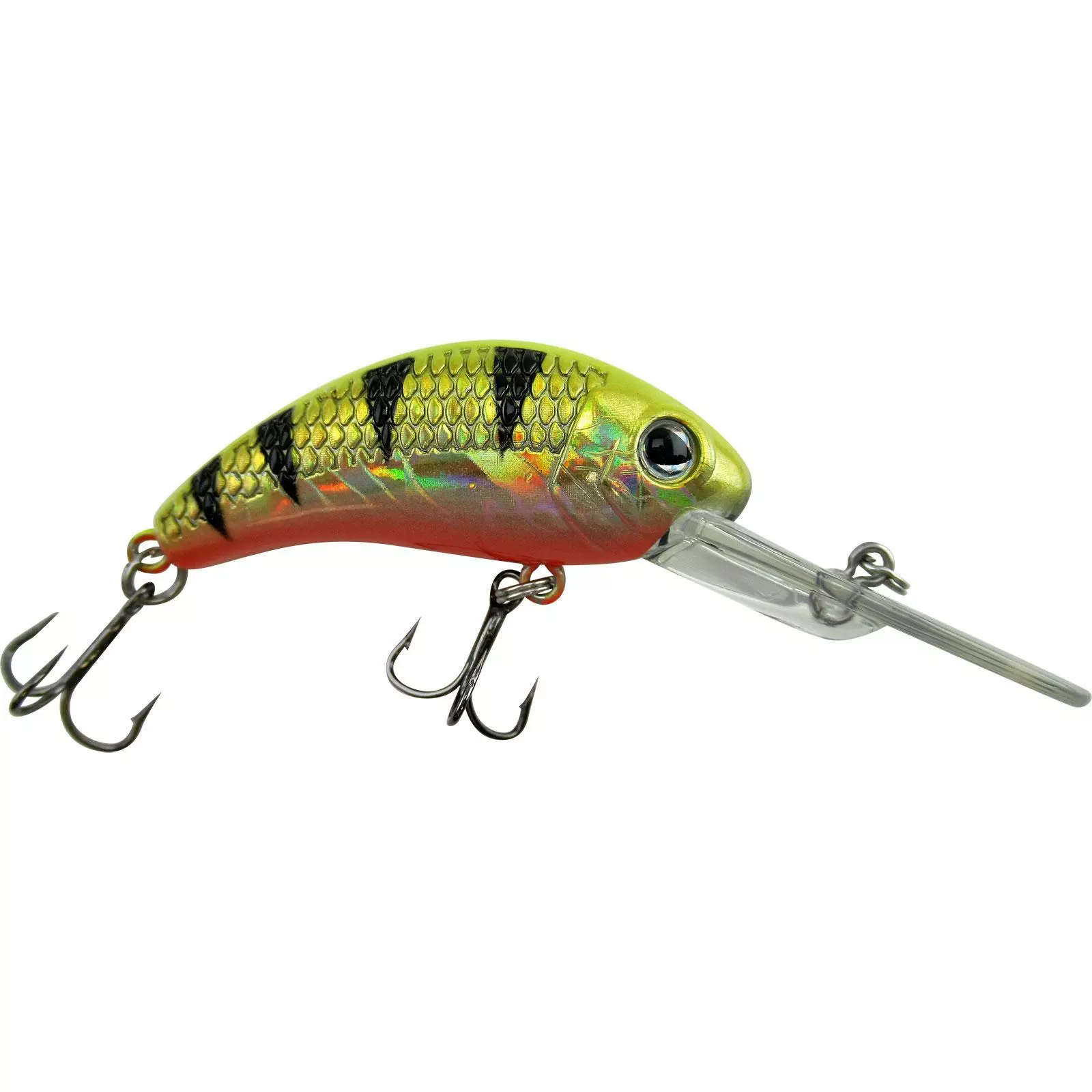 Promotion - Walleye Nation Creations Boogie Shad Crankbait 10 Promotion - Walleye Nation Creations Boogie Shad Crankbait - Image 10
