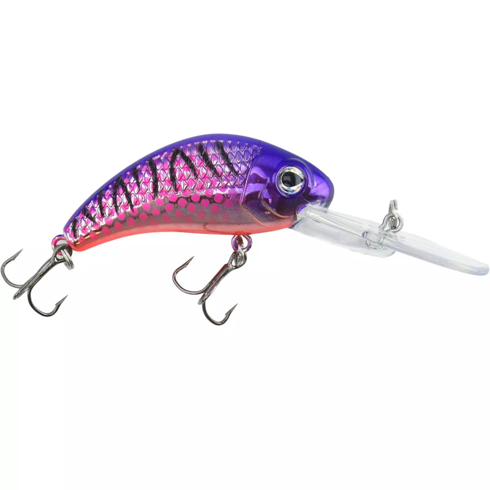 Promotion - Walleye Nation Creations Boogie Shad Crankbait 11 Promotion - Walleye Nation Creations Boogie Shad Crankbait - Image 11