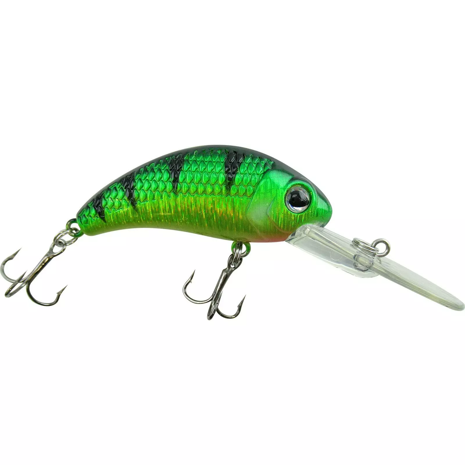 Promotion - Walleye Nation Creations Boogie Shad Crankbait 12 Promotion - Walleye Nation Creations Boogie Shad Crankbait - Image 12