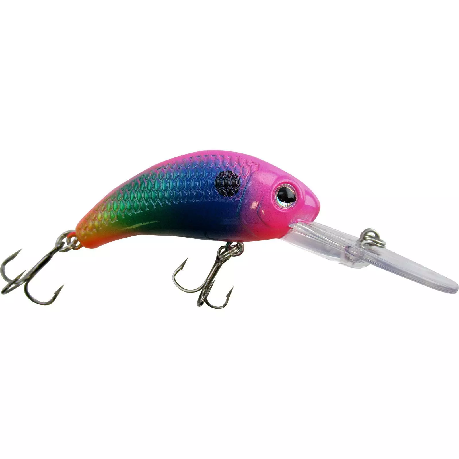 Promotion - Walleye Nation Creations Boogie Shad Crankbait 16 Promotion - Walleye Nation Creations Boogie Shad Crankbait - Image 16
