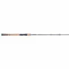 Promotion - Fenwick Eagle 2 Travel Spinning Rod