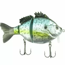 Promotion - FishLab Bio-Gill Hard Wake Bait