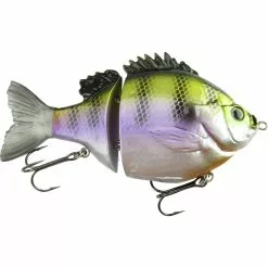 Promotion - FishLab Bio-Gill Hard Glide Bait 8 Promotion - FishLab Bio-Gill Hard Glide Bait -Deals Fishusa Store unnamed file 3973