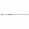 Promotion - Fenwick Eagle 2 Salmon & Steelhead Spinning Rod
