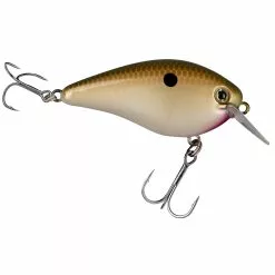 Promotion - Strike King Hard Knock KVD Square Bill Crankbait -Deals Fishusa Store unnamed file 4021