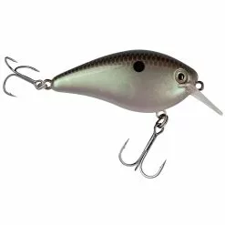 Promotion - Strike King Hard Knock KVD Square Bill Crankbait -Deals Fishusa Store unnamed file 4027