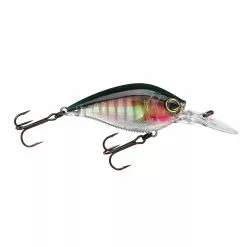 Promotion - Yo-Zuri 3DB 1.5 Crankbait MR -Deals Fishusa Store unnamed file 4311